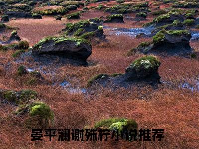 晏平澜谢殊柠小说（晏平澜谢殊柠）全文在线阅读无弹窗大结局