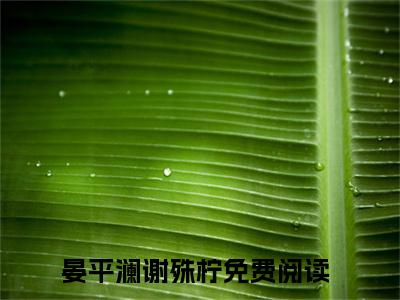 晏平澜谢殊柠阅读无弹窗大结局_（晏平澜谢殊柠阅读无弹窗）最新章节列表_笔趣阁（晏平澜谢殊柠）