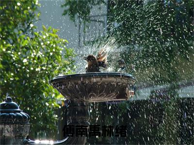 傅南禹林绪（哥抱抱我吧）小说免费在线阅读_傅南禹林绪全本免费小说阅读大结局（哥抱抱我吧）