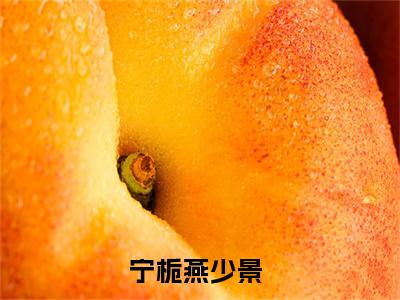 宁栀燕少景（宁栀燕少景）全文免费阅读无弹窗大结局_宁栀燕少景(宁栀燕少景)小说结局免费阅读（宁栀燕少景）