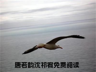 （唐若韵沈祁宥小说免费阅读）唐若韵沈祁宥全文免费阅读无弹窗大结局-唐若韵沈祁宥全文免费版阅读