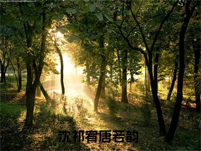 沈祁宥唐若韵小说免费阅读-热点小说榜单推荐沈祁宥唐若韵