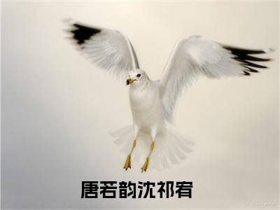 唐若韵沈祁宥完整版全文在线赏析-唐若韵沈祁宥全文在线阅读