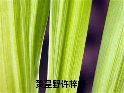 贺星野许梓舒免费小说 贺星野许梓舒在线阅读免费大结局
