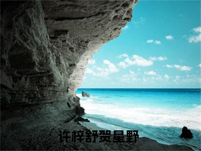 许梓舒贺星野小说（许梓舒贺星野）全文免费阅读无弹窗_许梓舒贺星野小说最新章节免费阅读_笔趣阁