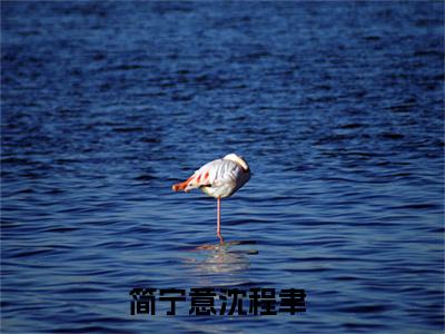 全章节完整《简宁意沈程聿》全文阅读《简宁意沈程聿》