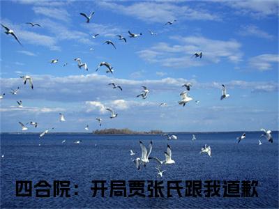 徐洋(四合院：开局贾张氏跟我道歉)全文免费阅读无弹窗_徐洋（四合院：开局贾张氏跟我道歉）全文阅读-笔趣阁（徐洋）