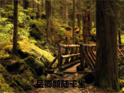 岳卿颜陆千尘（岳卿颜陆千尘）经典小说全文免费阅读无弹窗_（岳卿颜陆千尘）小说全文免费阅读最新章节_笔趣阁