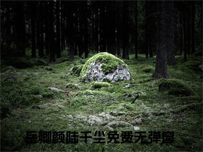 岳卿颜陆千尘今日阅读更新 岳卿颜陆千尘推荐免费新书