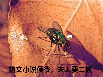 柳月寒商鹤余（侯爷，夫人要二嫁）笔趣阁免费小说全文完整版-侯爷，夫人要二嫁无弹窗免费阅读