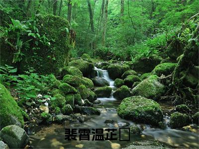 裴霄温芷玥(裴霄温芷玥)全文在线阅读无弹窗大结局_裴霄温芷玥全文无弹窗最新章节列表_笔趣阁
