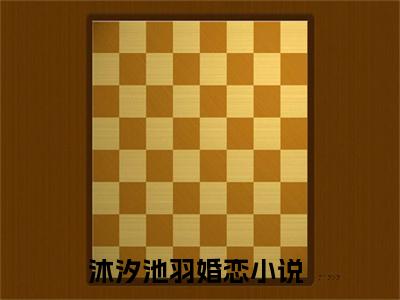 沐汐池羽小说最新章节阅读 沐汐池羽全文免费阅读最新章节大结局