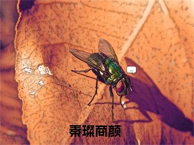 秦璨商颜（秦璨商颜）全文免费阅读_（秦璨商颜）秦璨商颜最新章节小说免费阅读_笔趣阁