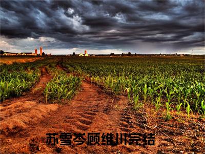 苏雪岑顾维川（苏雪岑顾维川）全文免费阅读无弹窗大结局_（苏雪岑顾维川无弹窗）_笔趣阁