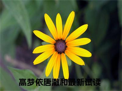 高梦依唐澈和抖音完结版阅读《高梦依唐澈和》最新章节目录好书推荐_(高梦依唐澈和)