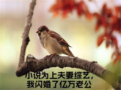 许倾倾顾怀瑾全文免费阅读无弹窗(小说全文免费阅读)为上夫妻综艺，我闪婚了亿万老公最新章节列表_笔趣阁