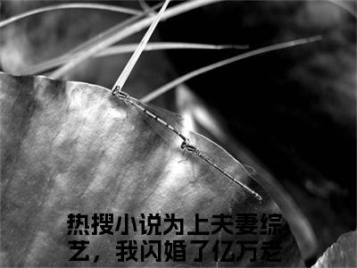 为上夫妻综艺，我闪婚了亿万老公（许倾倾顾怀瑾全文在线阅读）-为上夫妻综艺，我闪婚了亿万老公小说(许倾倾顾怀瑾)免费阅读最新章节列表无弹窗