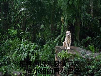 云总请节哀，向小姐的骨灰已经扬了小说最新章节阅读-向晚云琰全文免费试读