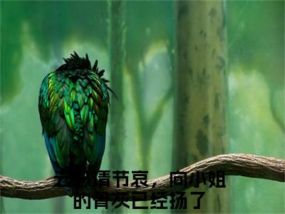 向晚云琰小说（云总请节哀，向小姐的骨灰已经扬了）小说全文免费云总请节哀，向小姐的骨灰已经扬了读无弹窗大结局笔趣阁（向晚云琰）