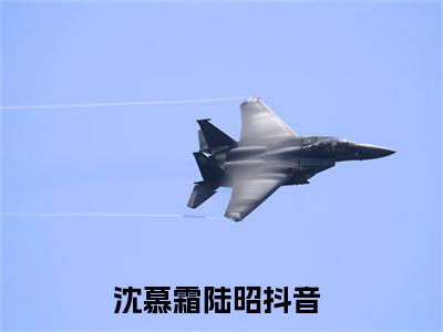 沈慕霜陆昭免费（沈慕霜陆昭）全文免费阅读无弹窗大结局_沈慕霜陆昭免费最新章节列表_笔趣阁
