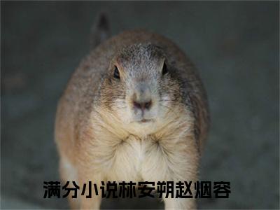 林安朔赵烟容(主角是林安朔赵烟容全文免费阅读无弹窗)_林安朔赵烟容全文免费阅读无弹窗大结局