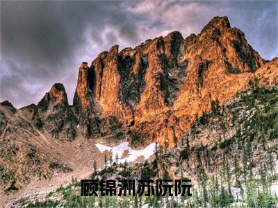 顾锦洲苏阮阮最新章节免费阅读-顾锦洲苏阮阮全文无弹窗试读