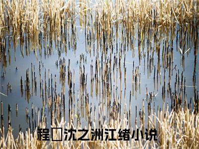 今日书单程瑄沈之洲江绪最新更新-程瑄沈之洲江绪全文在线观看
