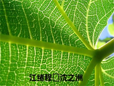 江绪程瑄沈之洲（江绪程瑄沈之洲）全文在线阅读无弹窗大结局_(江绪程瑄沈之洲免费阅读全文大结局)最新章节列表_笔趣阁（江绪程瑄沈之洲）