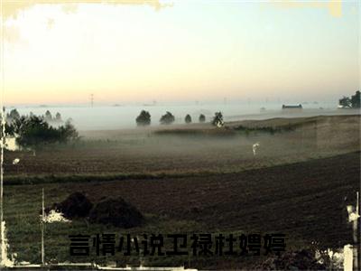 卫禄杜娉婷全文免费阅读无弹窗-卫禄杜娉婷小说全文在线赏析_笔趣阁（卫禄杜娉婷）