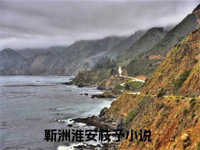 靳洲淮安枝予小说免费大结局靳洲淮安枝予里全文免费阅读
