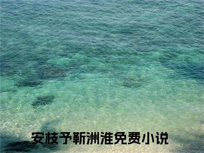 抖音热推高点击小说（安枝予靳洲淮）在线阅读-安枝予靳洲淮无广告阅读