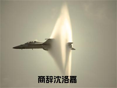 商辞沈洛嘉免费阅读无弹窗大结局_(商辞沈洛嘉免费阅读)商辞沈洛嘉免费阅读无弹窗最新章节列表_笔趣阁