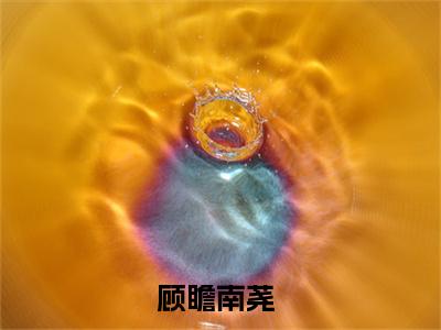 顾瞻南荛全文免费阅读无弹窗大结局_（顾瞻南荛）全文在线阅读大结局