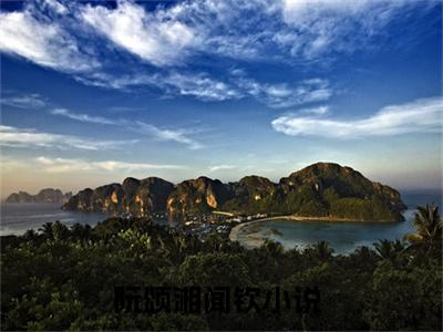 （阮颂湘闻钦）小说免费阅读-阮颂湘闻钦全文无弹窗阅读