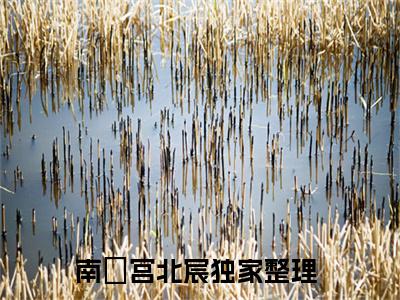 南玥宫北宸（南玥宫北宸）全文无弹窗阅读-精彩小说南玥宫北宸