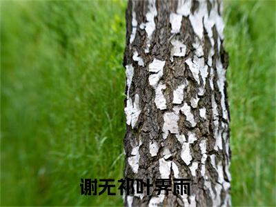 谢无祁叶霁雨无弹窗热文在线阅读-谢无祁叶霁雨小说在哪里可以看