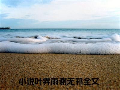 热门小说已完叶霁雨谢无祁小说无弹窗大结局_叶霁雨谢无祁全文阅读大结局