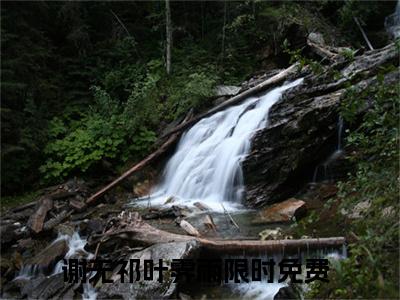 谢无祁叶霁雨小说全文免费阅读（谢无祁叶霁雨）全文免费阅读无弹窗大结局_(谢无祁叶霁雨)谢无祁叶霁雨小说免费阅读无弹窗最新章节列表_笔趣阁（谢无祁叶霁雨）