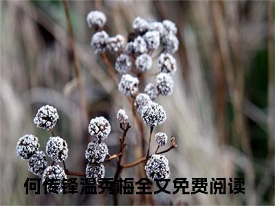 何传锋温秀梅（何传锋温秀梅）全文免费阅读大结局-何传锋温秀梅最新章节列表免费阅读大结局