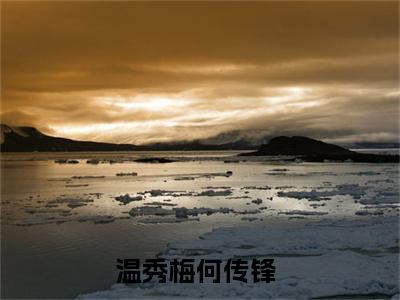 温秀梅何传锋（温秀梅何传锋）全文免费阅读无弹窗完整版_ (温秀梅何传锋免费阅读全文)最新章节列表_笔趣阁（温秀梅何传锋）