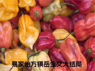 易家怡方镇岳的书名全文免费最后一章在线阅读 易家怡方镇岳全文小说完整版