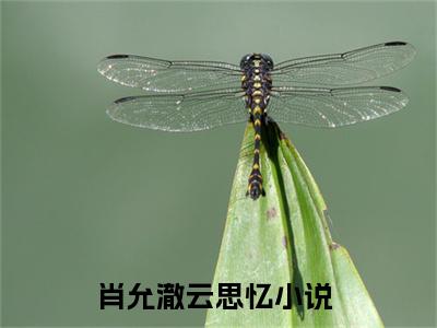 肖允澈云思忆（肖允澈云思忆）全文免费阅读无弹窗_肖允澈云思忆最新小说_笔趣阁（肖允澈云思忆）
