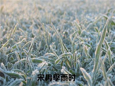 宋冉季雨时小说_宋冉季雨时全文阅读_小说免费阅读最新章节列表(宋冉季雨时)笔趣阁