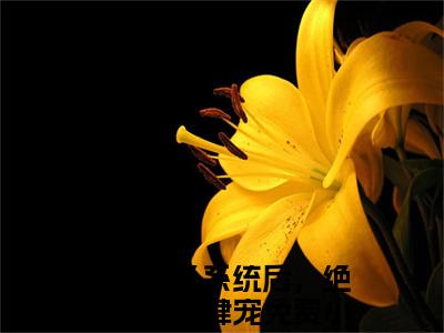 纪云欢小说（绑定生子系统后，绝嗣帝王放肆宠）热推新书_纪云欢最新章节在线阅读_笔趣阁