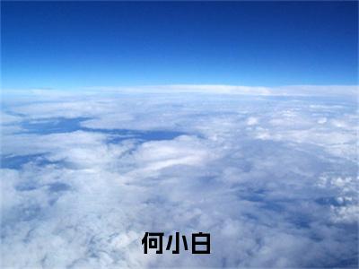 何小白小说直播带校花整蛊，全网后槽牙咬碎完整版全文在线赏析-小说何小白全文大结局已完结