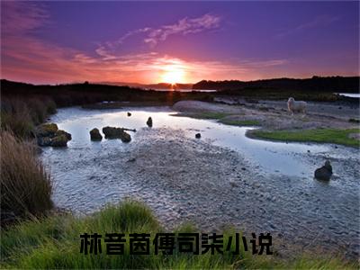 林音茵傅司柒（林音茵傅司柒）全文在线阅读无弹窗大结局_(林音茵傅司柒免费阅读全文大结局)最新章节列表_笔趣阁（林音茵傅司柒）