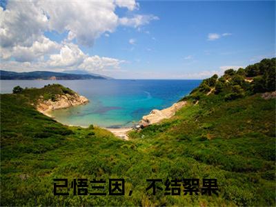 穆兰薇周子安已悟兰因，不结絮果全文小说-穆兰薇周子安小说最新章节免费阅读