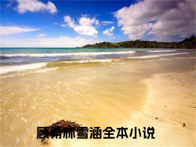 顾希林雪涵小说全文免费阅读 （顾希林雪涵）免费阅读全文免费阅读无弹窗大结局