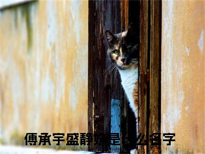 傅承宇盛静姝精彩章节小说-傅承宇盛静姝最新更新阅读
