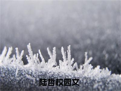 点化万物（陆哲）全网首发最新小说-主角陆哲全文在线免费阅读
